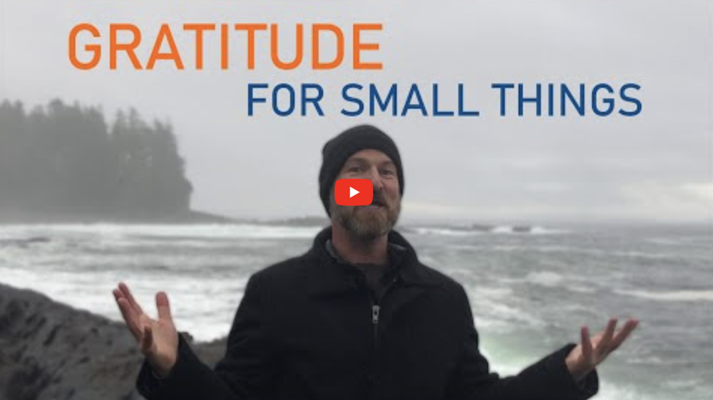 How to Be Grateful for Small Things — Why Gratitude ROCKS