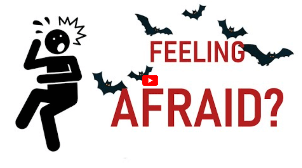 Is It Okay to Be Afraid?