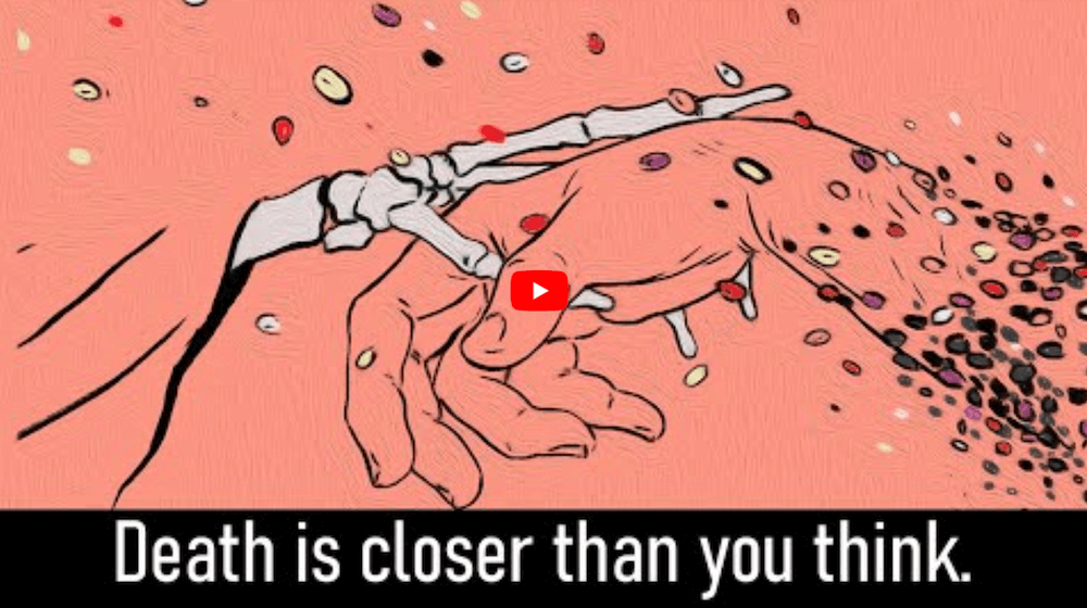 What Is the Game of Life?